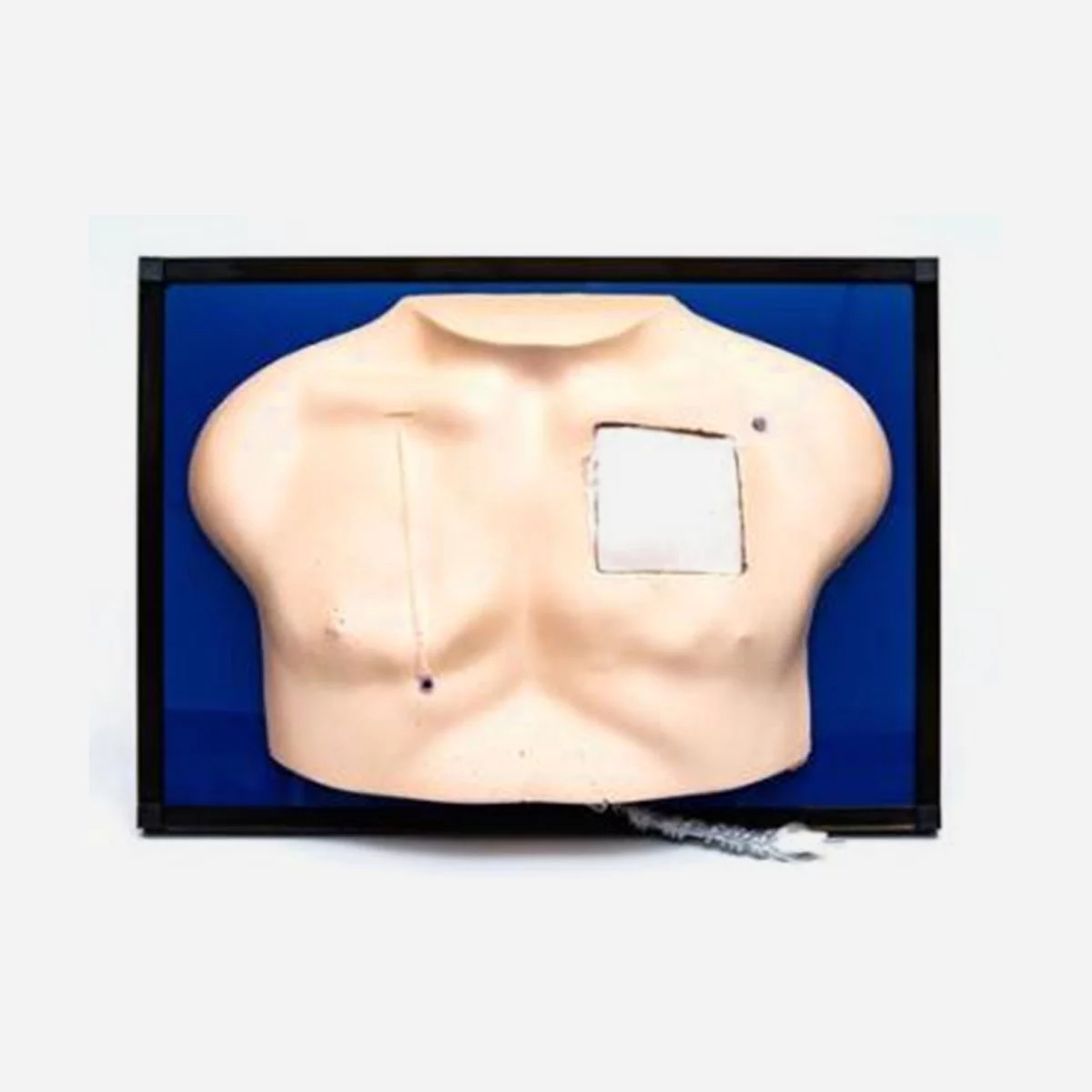 Deluxe Venous Access Device Model- Vishalsurgical.co.in